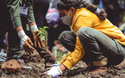 #2 – Tree planting apps, Elon tweets, and Tik Tok integrations