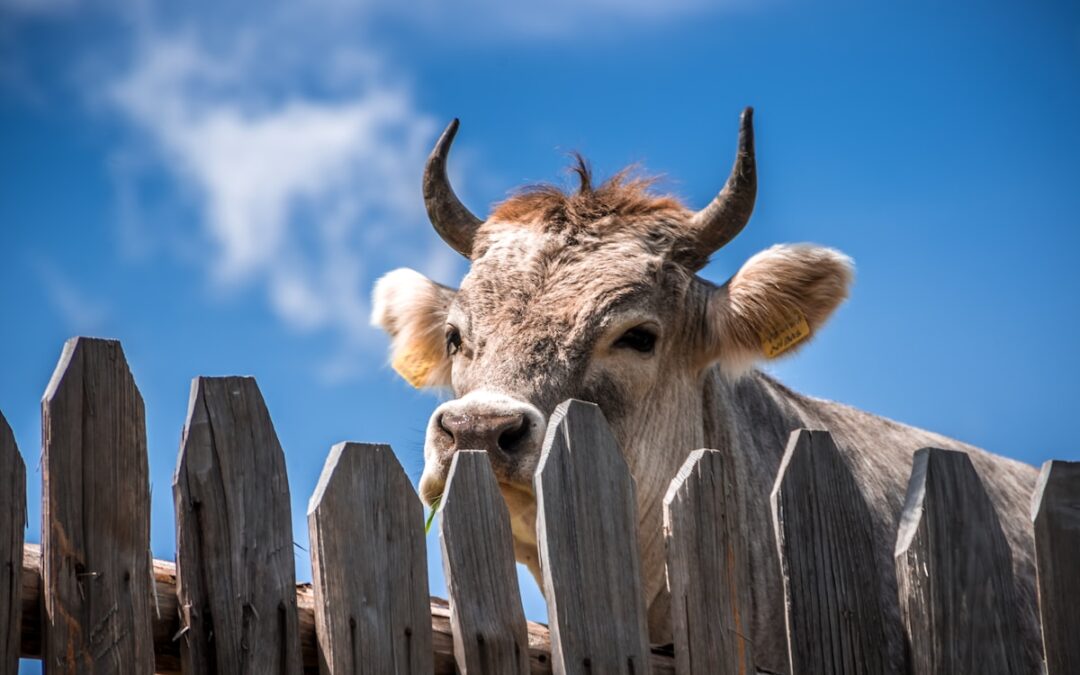 AI can only be so good before it disrupts Big Tech’s cash cows