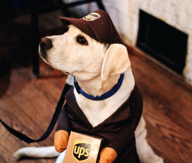 UPS has deployed RFID tracking across its entire U.S. network, automatically sensing packages without manual scans