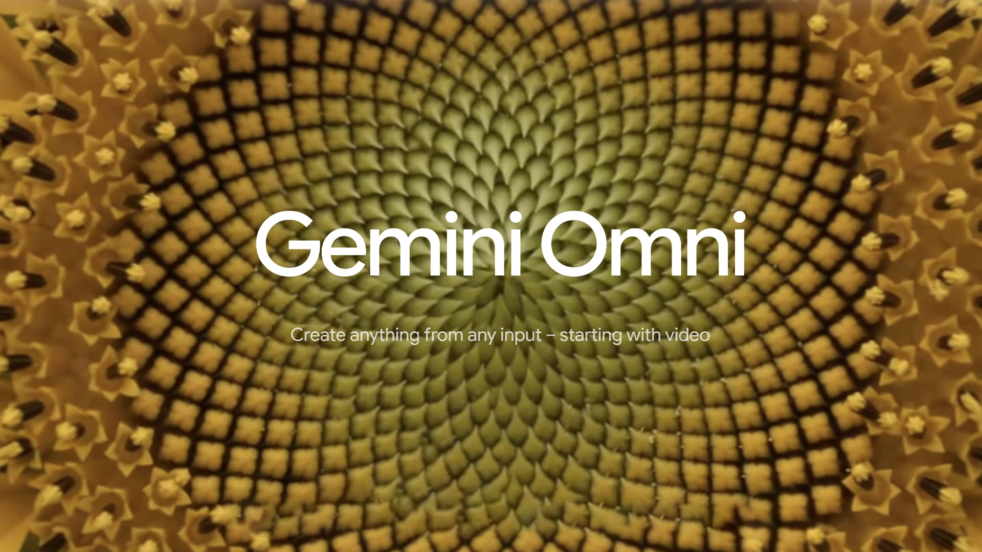 Gemini Omni