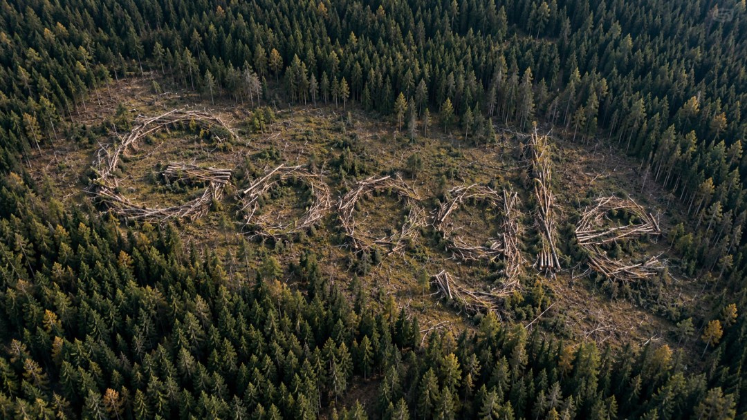 Google faces backlash in Finland after clearing an estimated 250,000 trees for a data center without environmental reviews